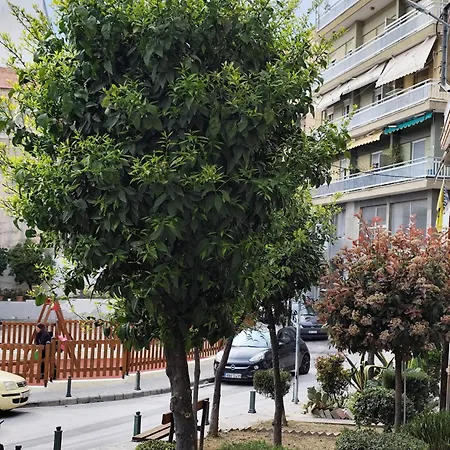 Apartamento Konstantina's Center *